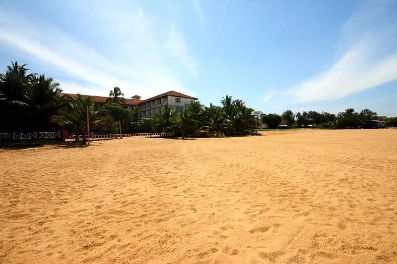 Lush greenery surrounding the hotel property